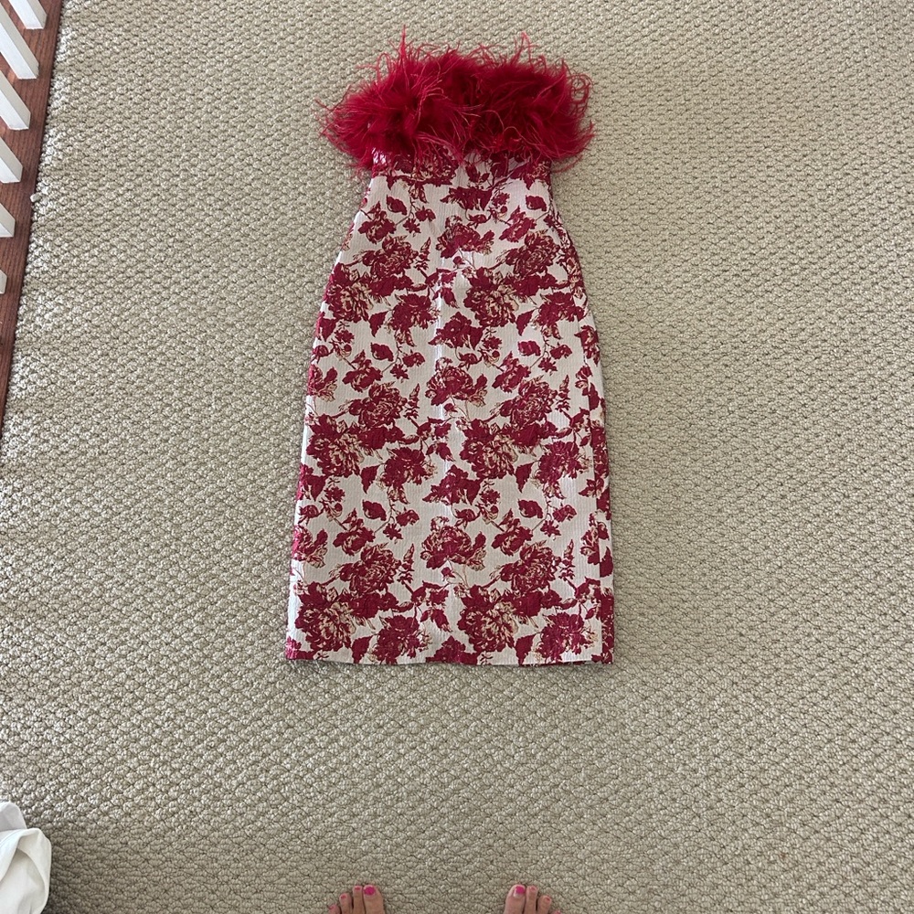 Hyacinth House by Tuckernuck Floral Red and White Dress with Feather Trim